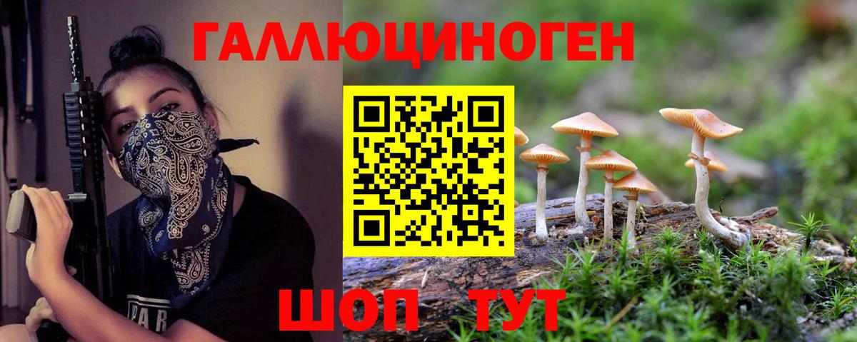 Псилоцибиновые грибы MAGIC MUSHROOMS  Вход с VPN  Псилоцибиновые грибы Cubensis  Гусь-Хрустальный 