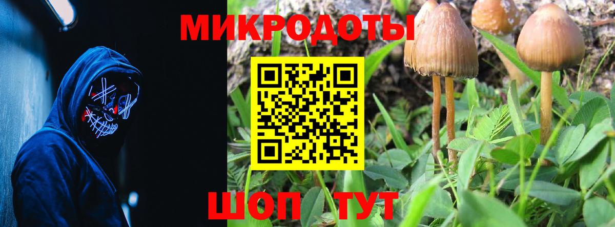 Галлюциногенные грибы мухоморы Гусь-Хрустальный