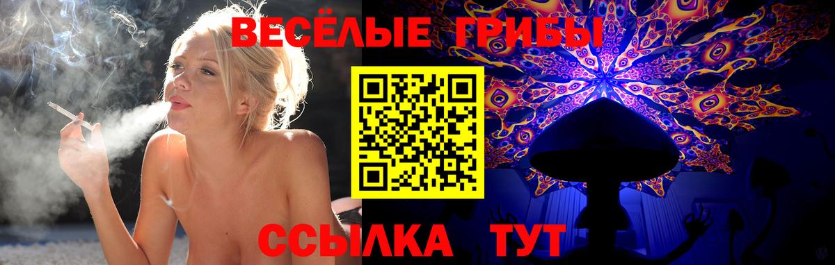 Метадон Гусь-Хрустальный